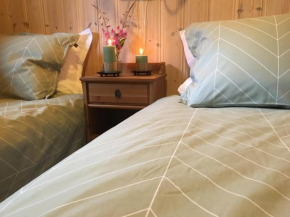 Reinunga Eco Hytta - Mountain lodge near Myrdal accessible only by train or bike